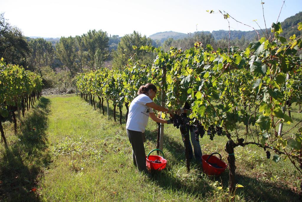 Agriturismo Le Cantine Poggibonsi Esterno foto