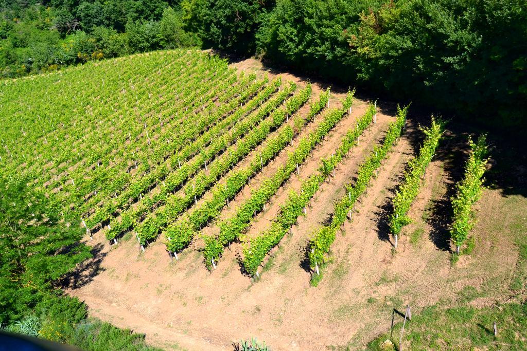 Agriturismo Le Cantine Poggibonsi Esterno foto
